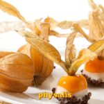 spanische tortilla rezept physalis
